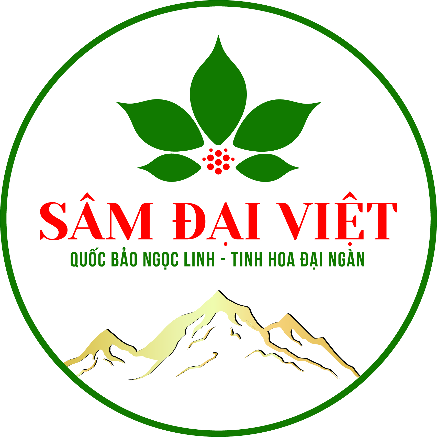 Logo Công ty Cổ phần Đầu tư và Phát triển Sâm Đại Việt