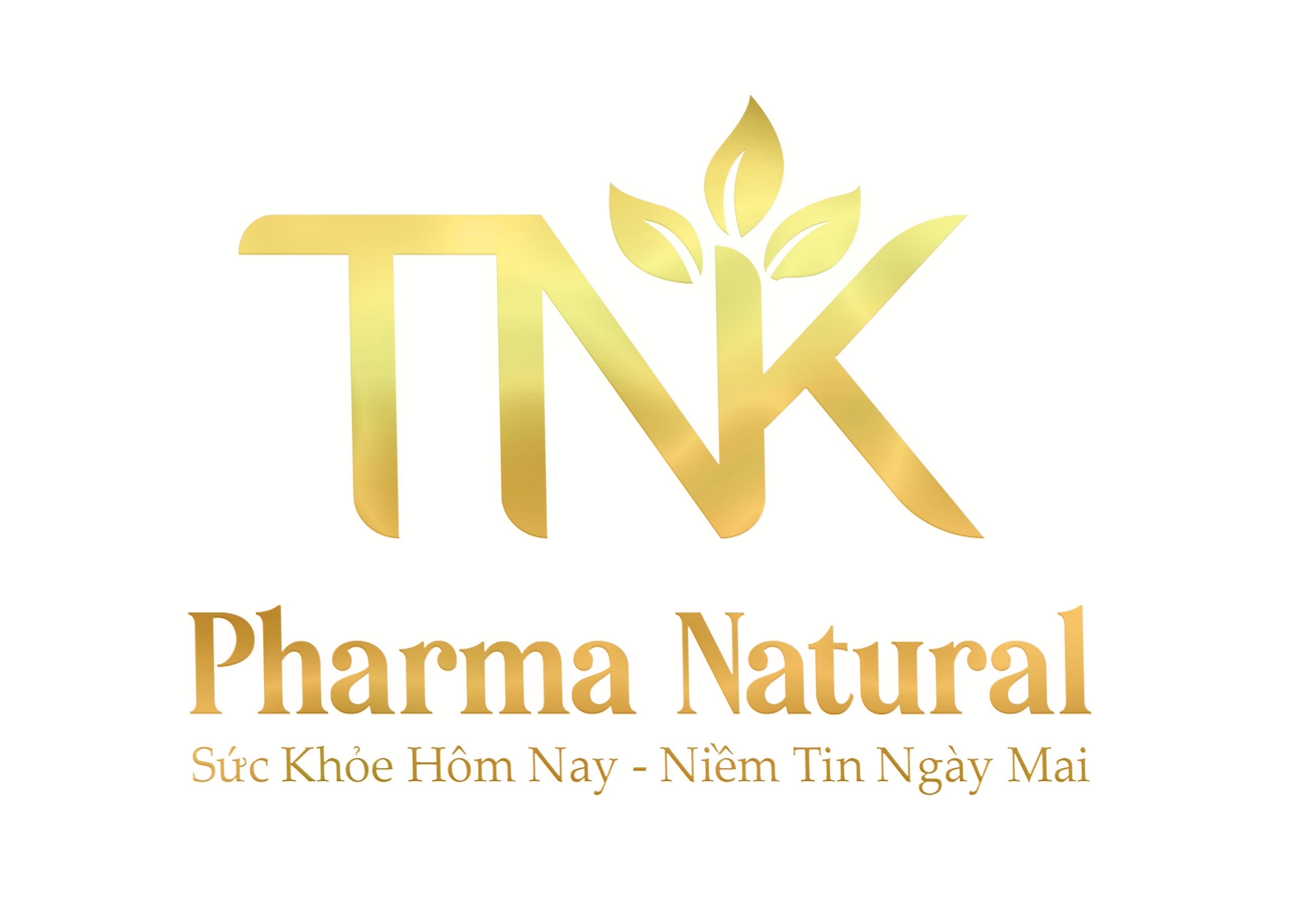 Logo Công ty TNHH Thương mại Anh Pharma