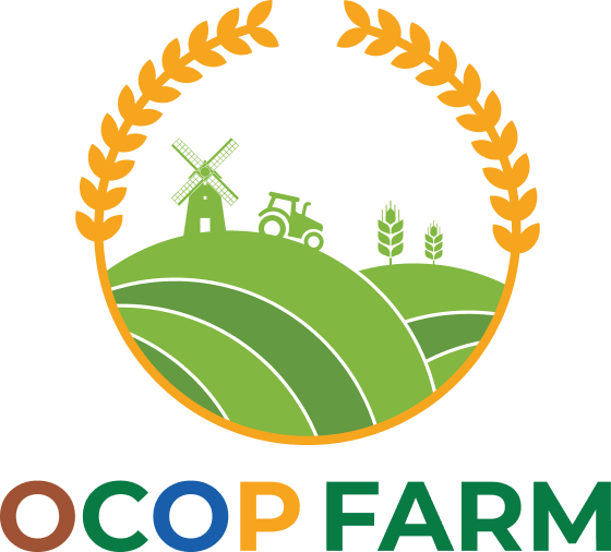Logo Công ty TNHH Thương mại Dịch vụ VPARTNER