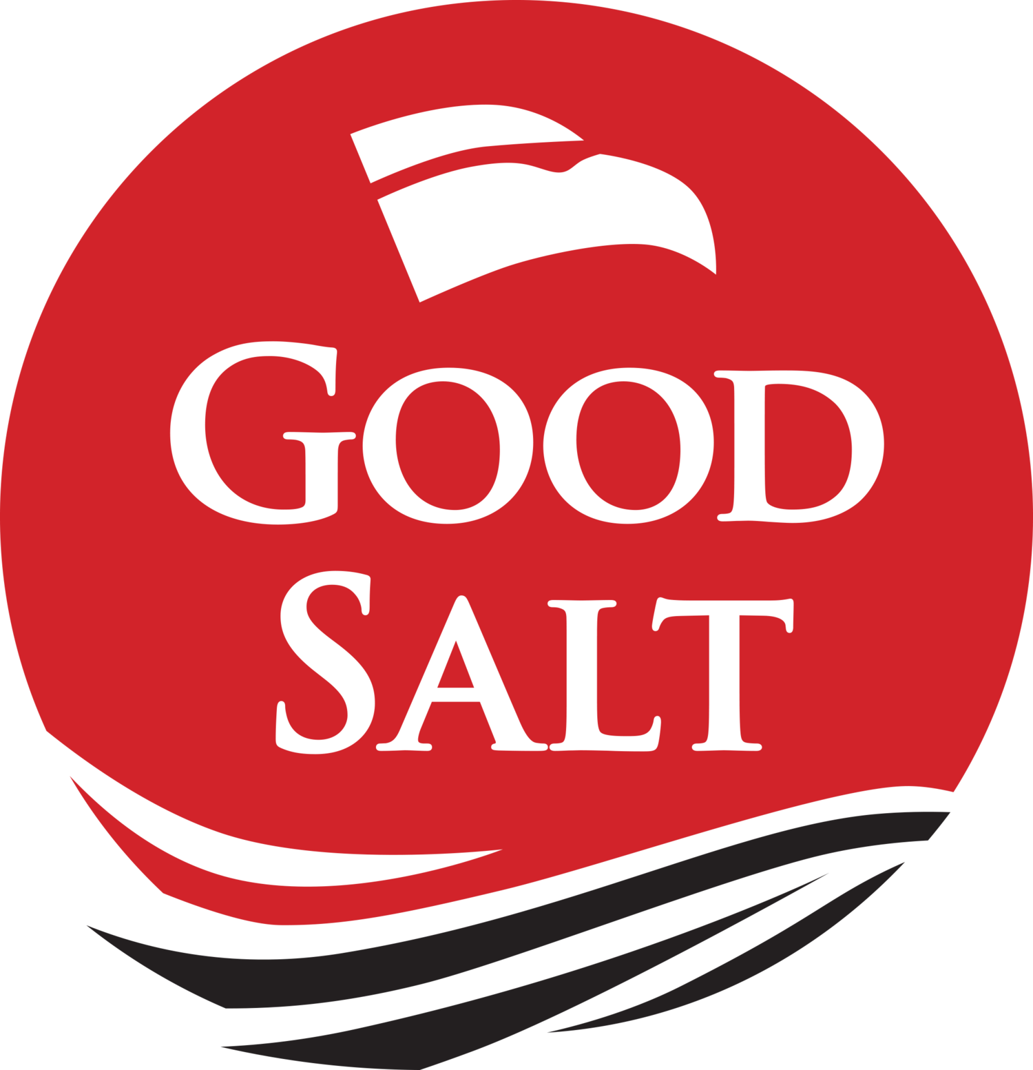 Logo Công ty TNHH DKH Hà Nội