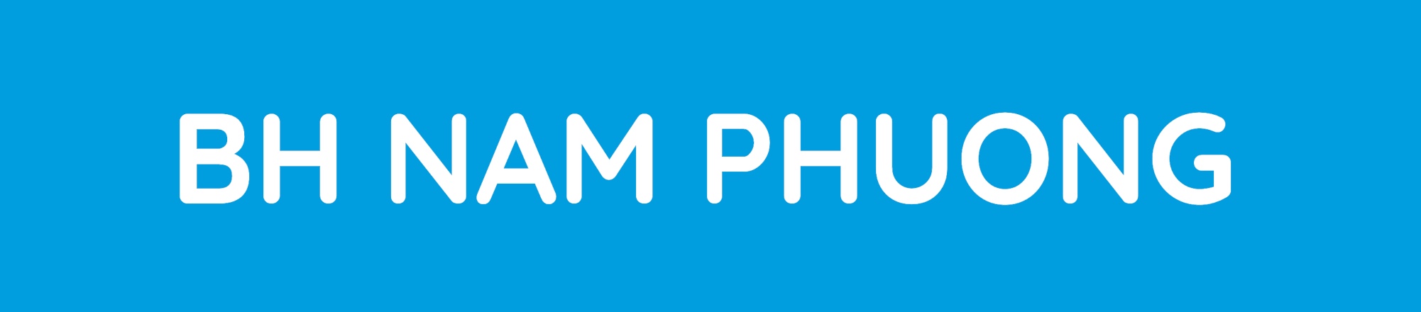 Logo Hộ Kinh Doanh Nam Phương