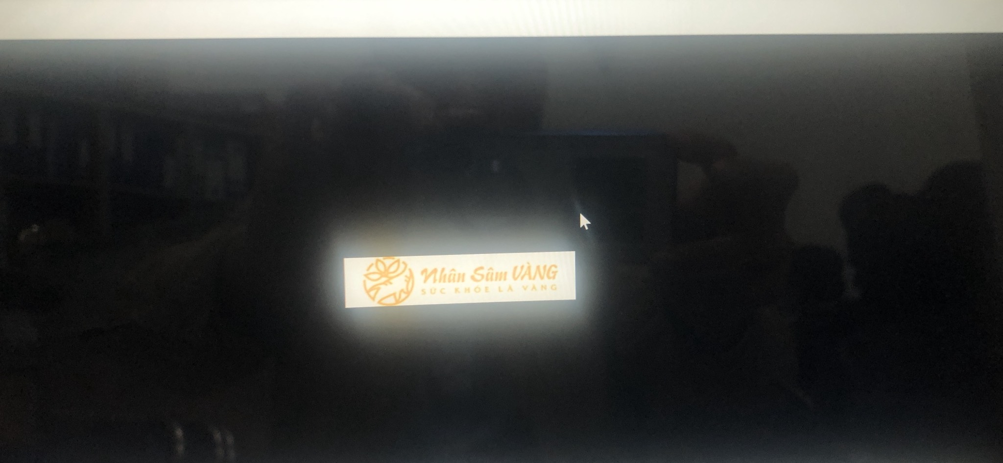 Logo Trần Lưu Kim