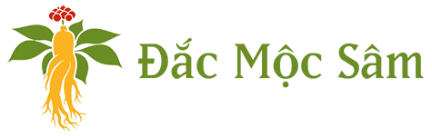 Logo Công ty TNHH Đắc Mộc Sâm
