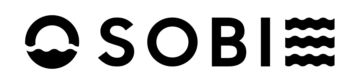 Logo Hộ kinh doanh Sóng Biển