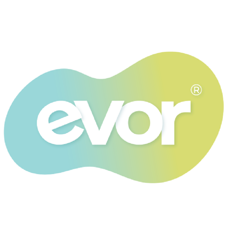 Logo Công ty TNHH EVOR Việt Nam