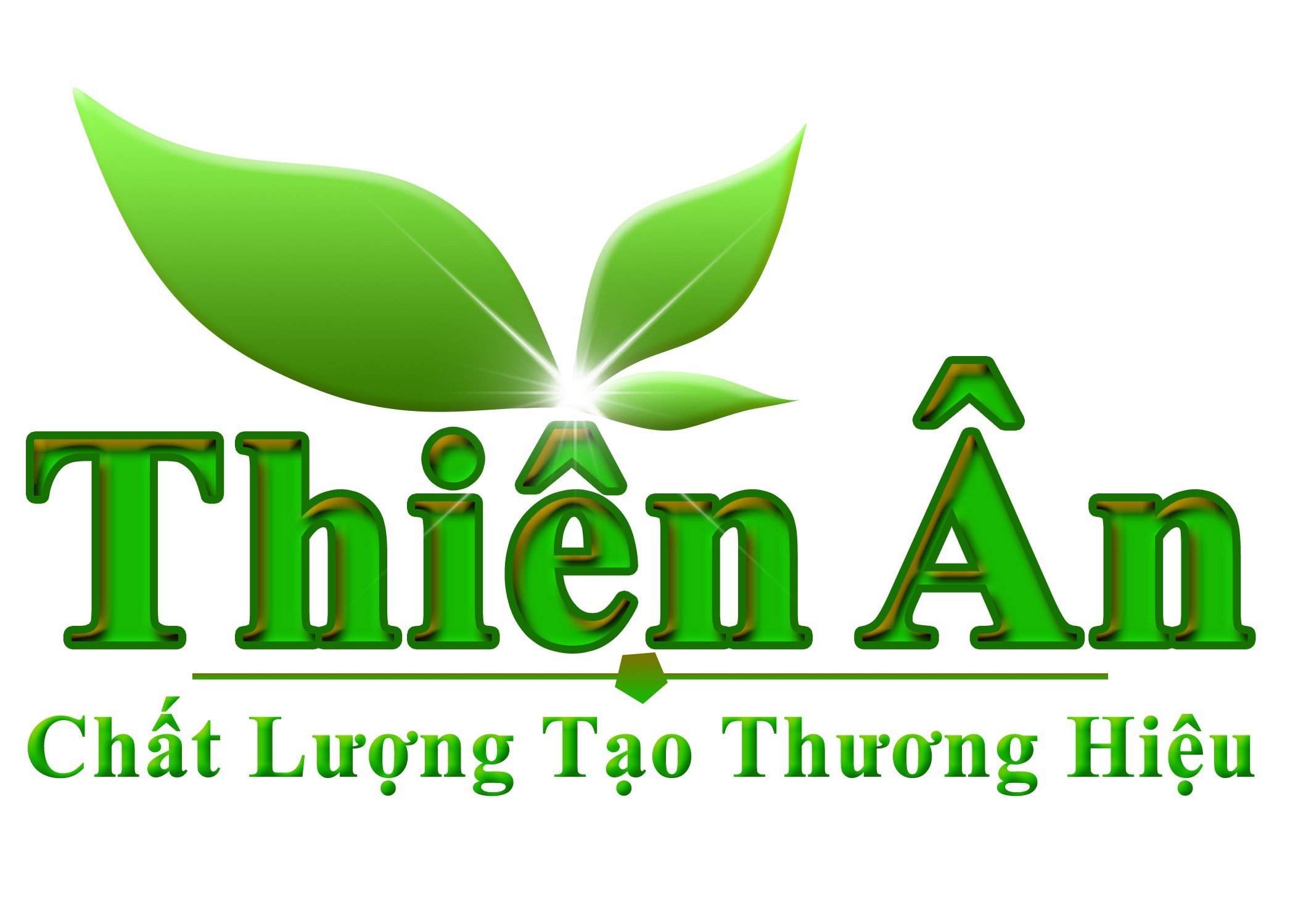 Logo Công ty TNHH Sâm Nấm Thiên Ân
