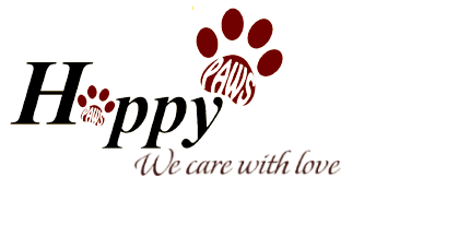 Logo Hộ Kinh Doanh Bàn Chân Vui Vẻ
