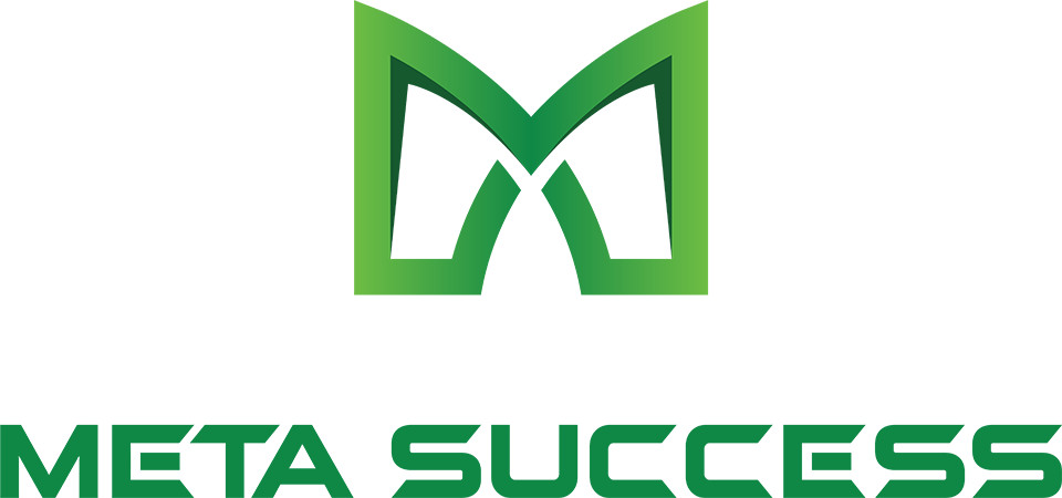 Logo Công ty TNHH Meta Success