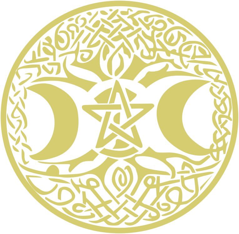 Logo Công ty TNHH Truyền thông Xuất nhập khẩu SVIPLUX