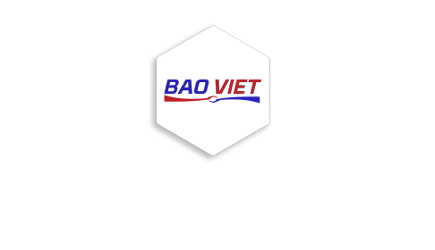 Logo Công ty TNHH Công nghệ Bảo Việt