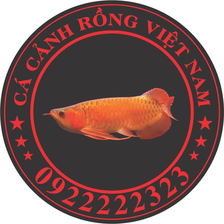 Logo Công ty TNHH Cá Rồng Việt Nam