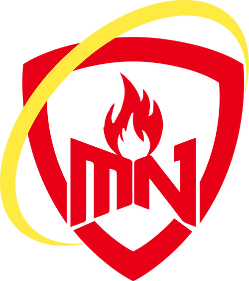 Logo Công ty TNHH xuất nhập khẩu thương mại dịch vụ Miền Nam