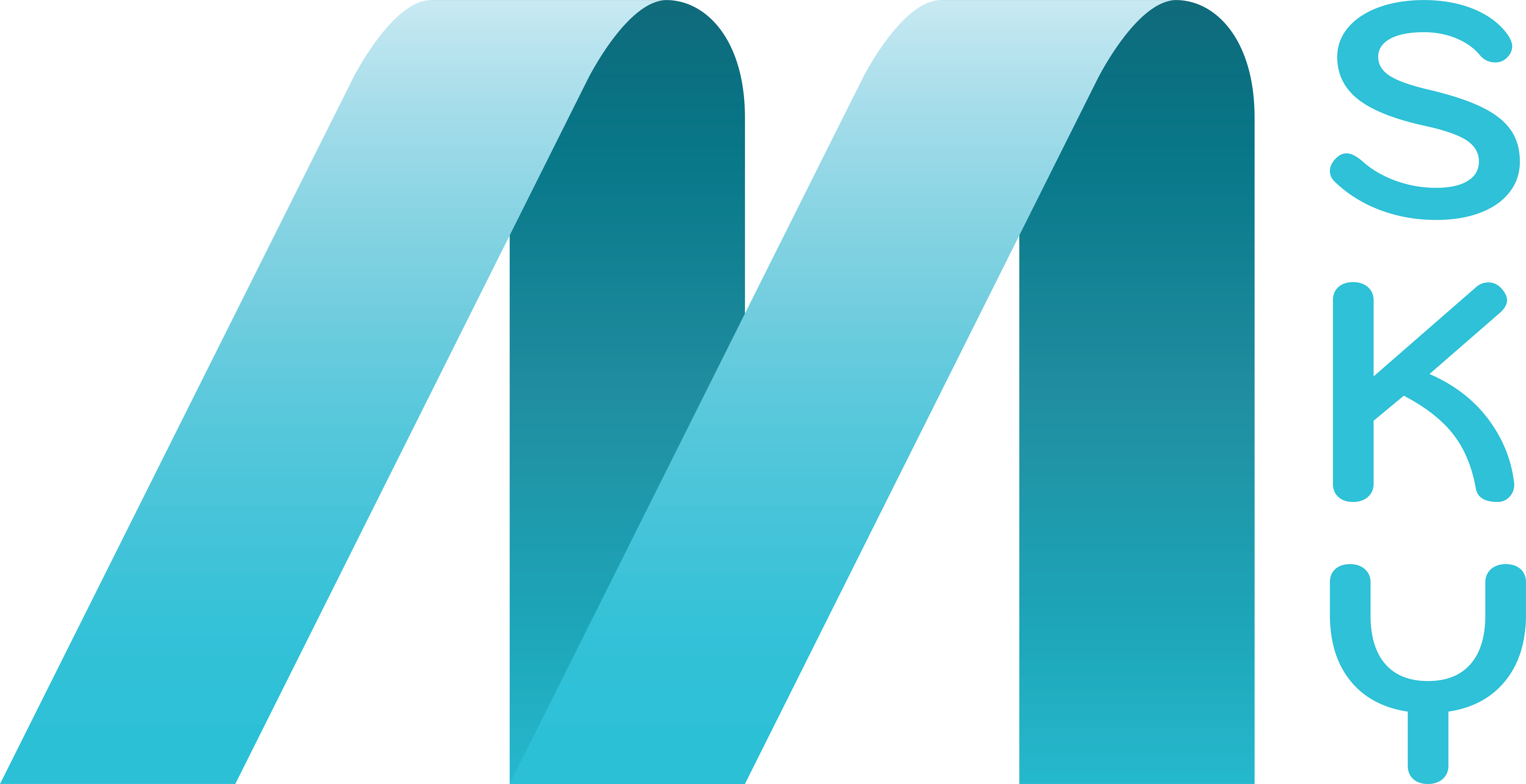 Logo Công ty TNHH Msky