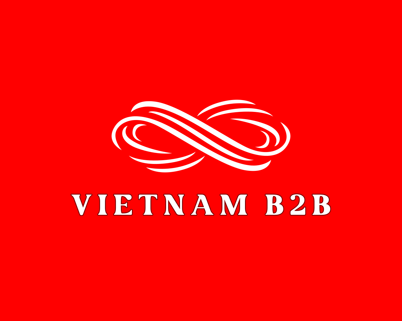 Logo Công ty TNHH VIETNAM B2B