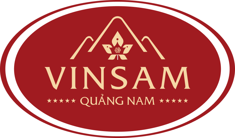 Logo Công ty TNHH Đầu Tư Phát Triển Vinsam Quảng Nam