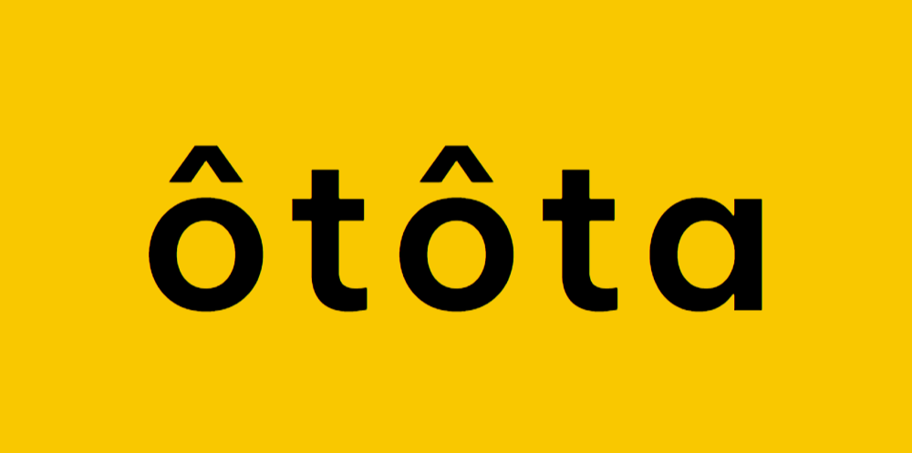 Logo Công ty TNHH OTOTA