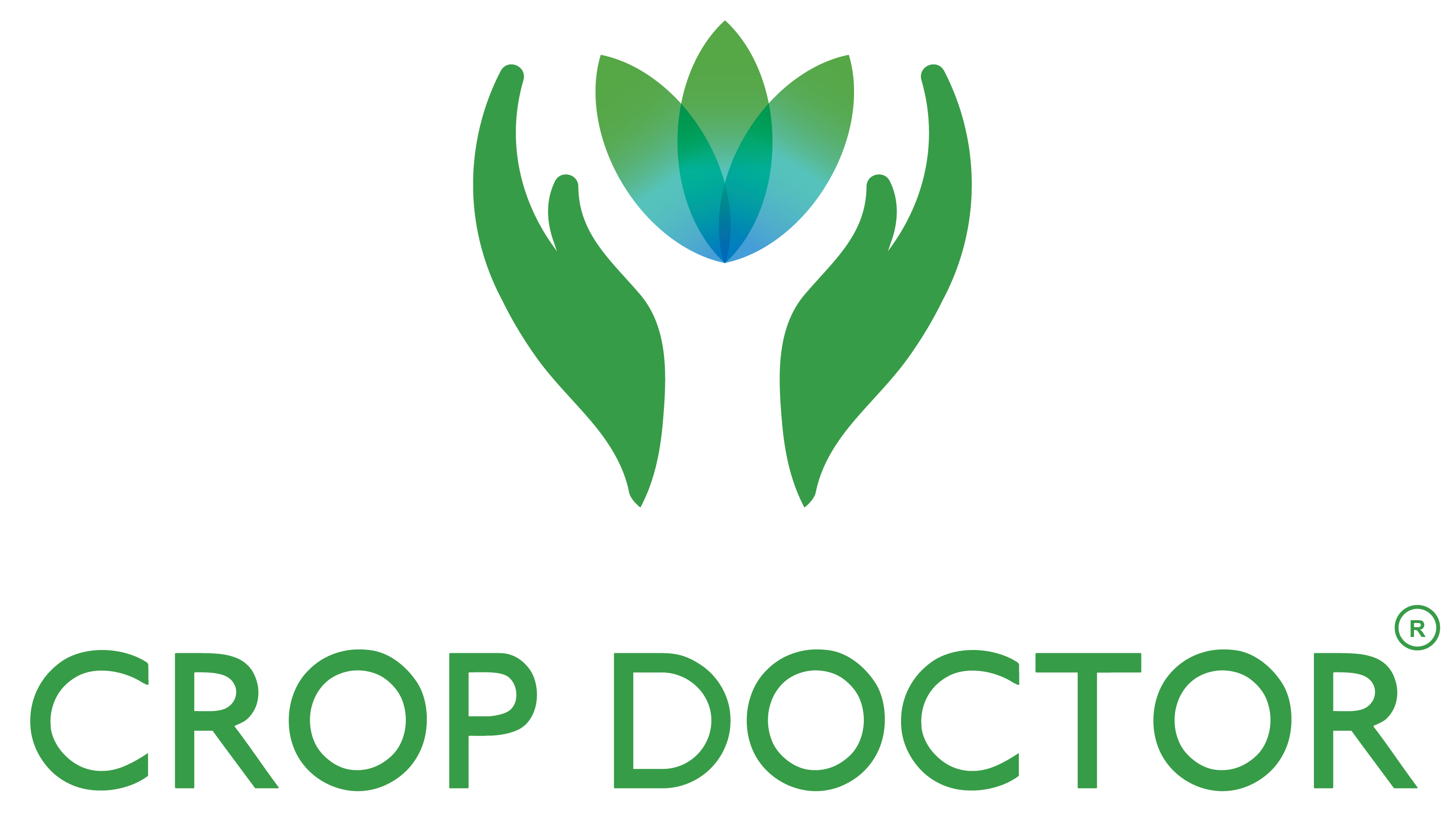 Logo CÔNG TY TNHH MỘT THÀNH VIÊN DỊCH VỤ QUẢN LÝ BỀN VỮNG