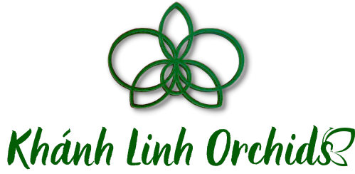 Logo Công ty TNHH TM và DV Khánh Linh Florist