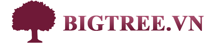 Logo HỘ KINH DOANH DƯƠNG HUY HOÀNG