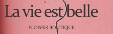 Logo Hộ kinh doanh La Vie Est Belle