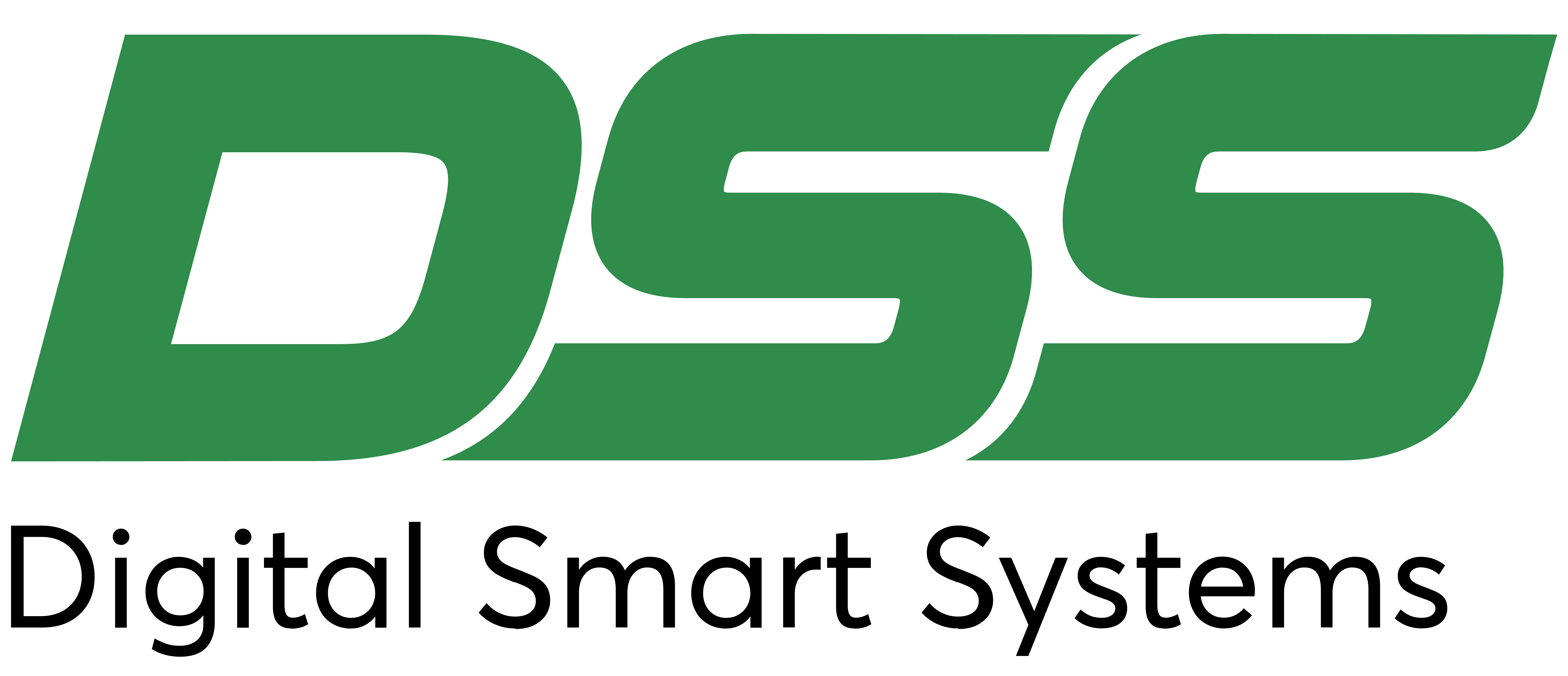 Logo Công ty Cổ Phần Công Nghệ DSS Miền Nam