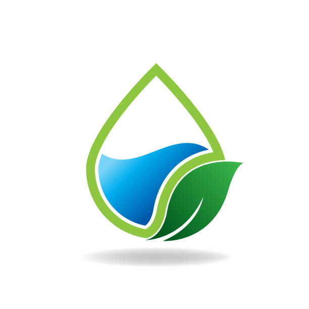 Logo Công ty TNHH Thông Tin Công Nghệ New Life