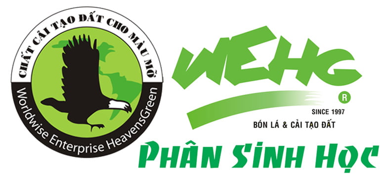 Logo CÔNG TY CỔ PHẦN THẾ GIỚI THÔNG MINH