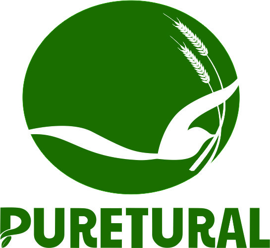 Logo Công Ty TNHH Duy Nhân Nghĩa