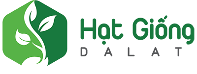 Logo Công ty TNHH Lê Chinh