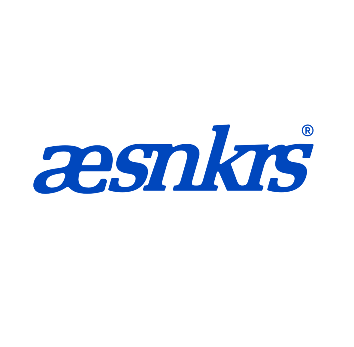 Logo Hộ kinh doanh AESNKRS
