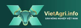 Logo CÔNG TY CỔ PHẦN E - GFC HOLDING VN