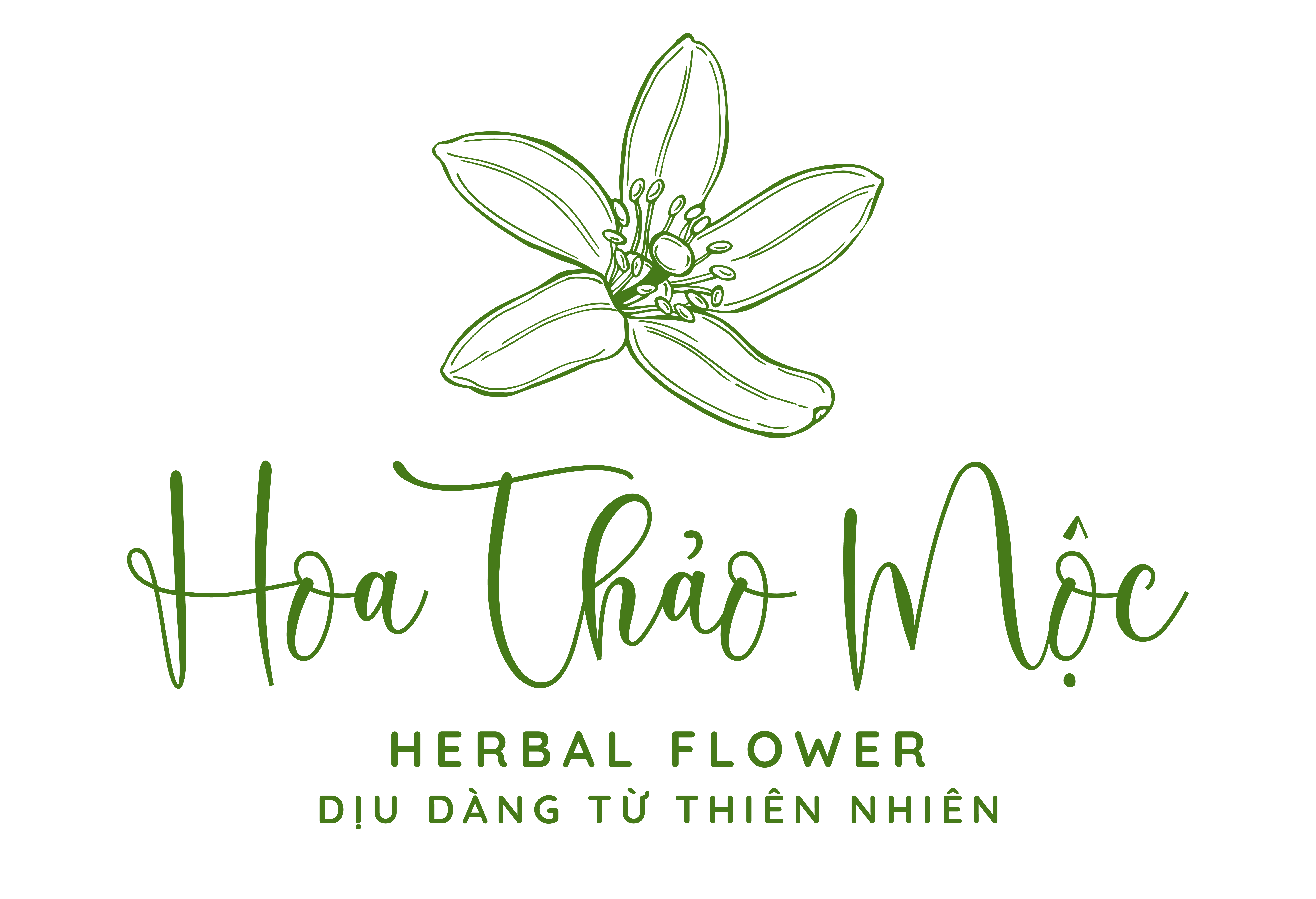 Logo Công ty TNHH Dược Mỹ Phẩm Hoa Thảo Mộc