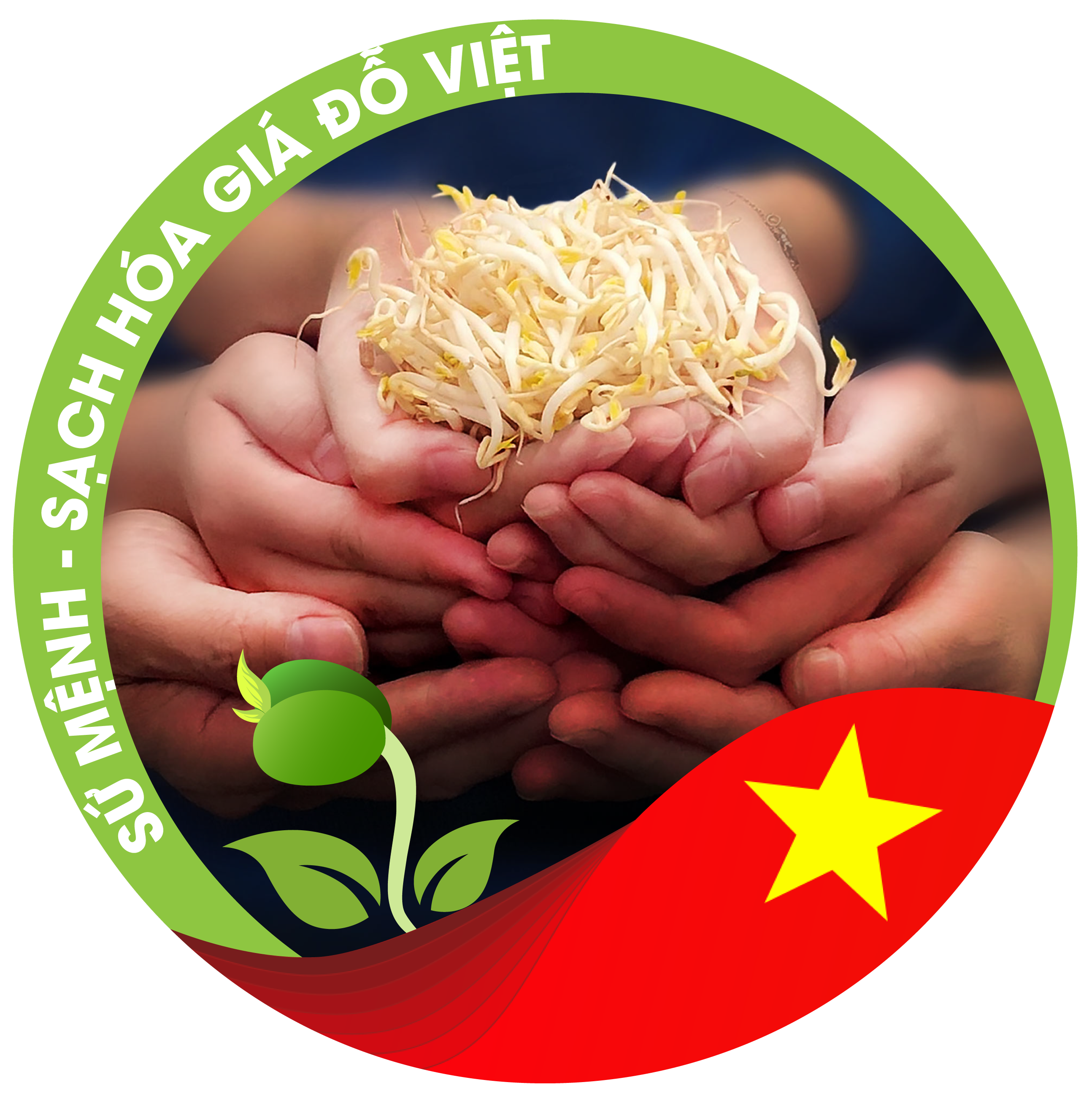 Logo công ty cổ phần sản xuất và thương mại giá đỗ tiến sĩ
