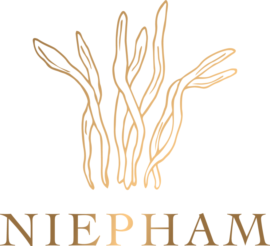Logo CÔNG TY CỔ PHẦN THƯƠNG MẠI DỊCH VỤ NIE PHẠM