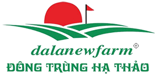 Logo Hộ kinh doanh Võ Hồng Diệu Linh