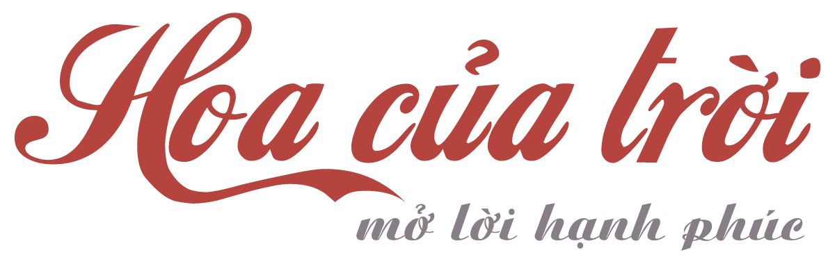 Logo CÔNG TY TNHH THƯƠNG MẠI DỊCH VỤ HOA CỦA TRỜI