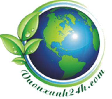 Logo CÔNG TY TNHH ĐẦU TƯ PHÁT TRIỂN VÀ THƯƠNG MẠI MẶT TRỜI ĐỎ