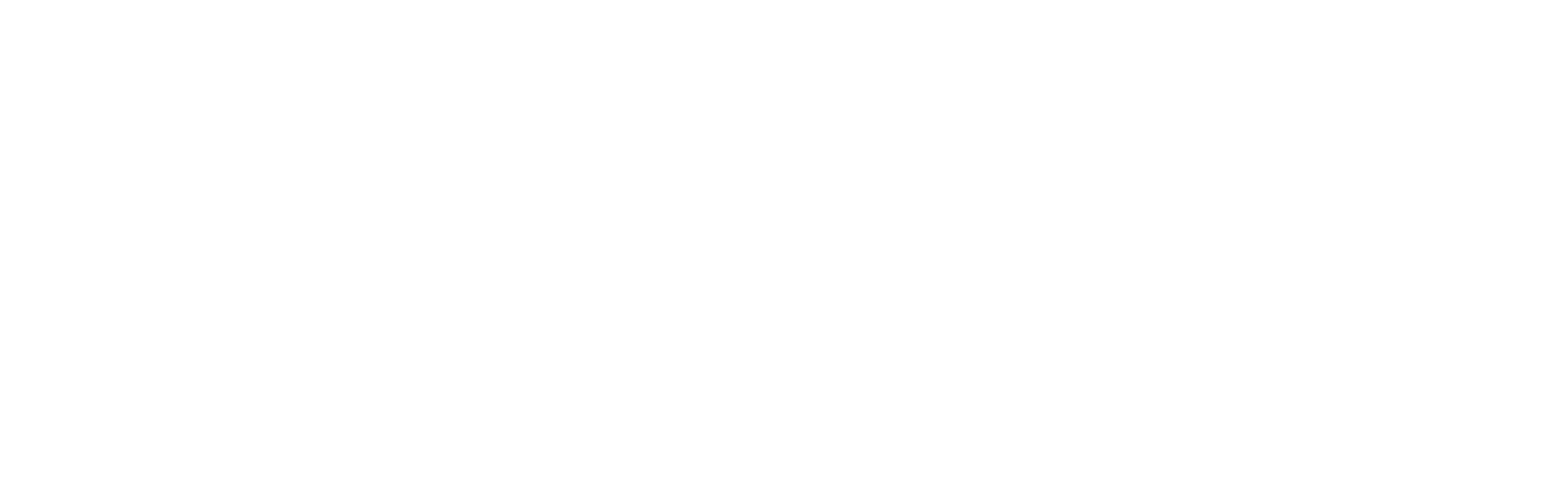 Logo Công ty TNHH Nam Nung Việt Nam