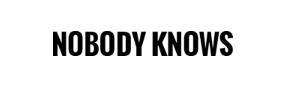 Logo CÔNG TY TNHH NOBODY KNOWS