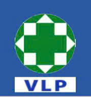 Logo Công ty cổ phần Bảo hộ lao động Việt Nam