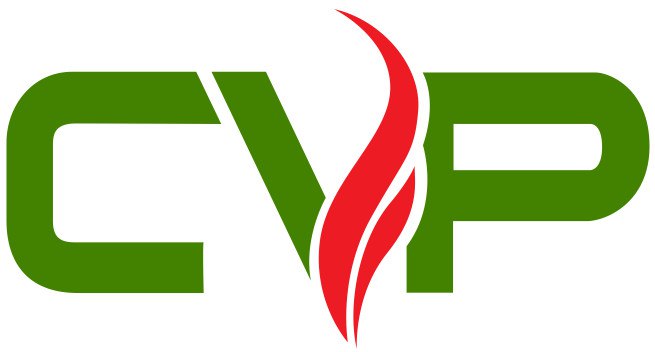 Logo CÔNG TY TNHH CVP CƯỜNG VINH PHÁT
