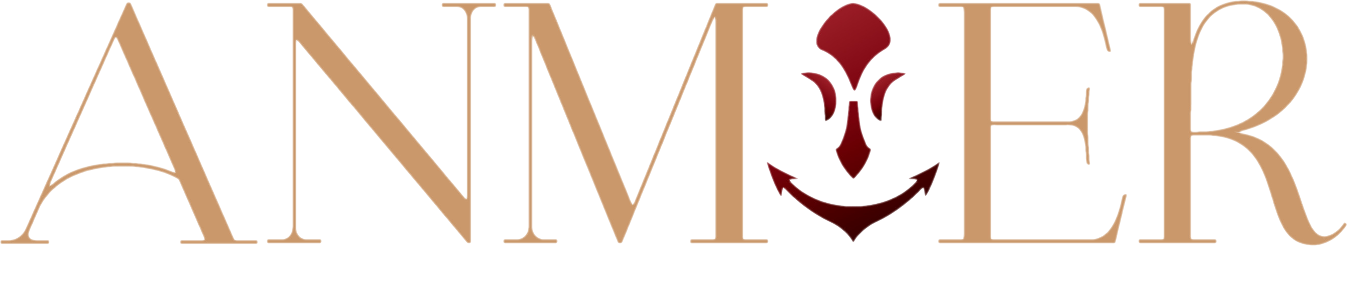 Logo HỘ KINH DOANH ANMIER