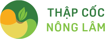 Logo CÔNG TY TNHH THẬP CỐC NÔNG LÂM
