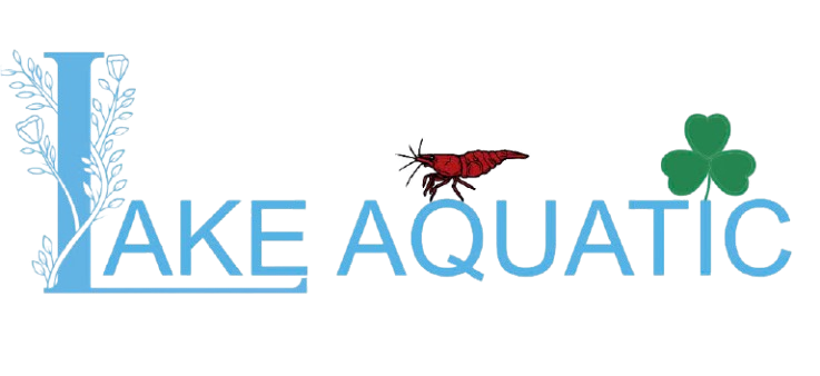 Logo HỘ KINH DOANH THỦY SINH LAKE AQUATIC