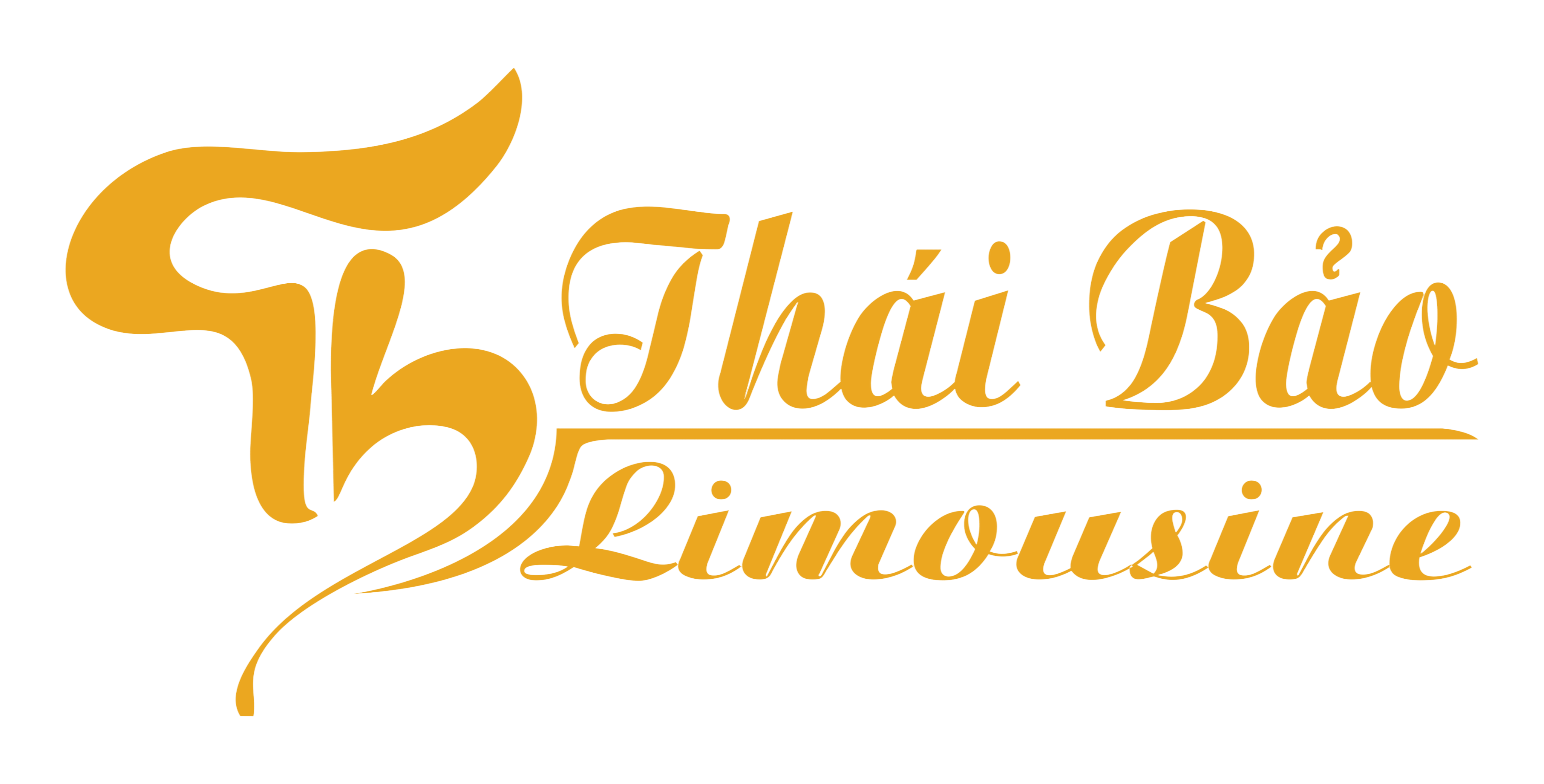 Logo CÔNG TY TNHH KING THÁI BẢO