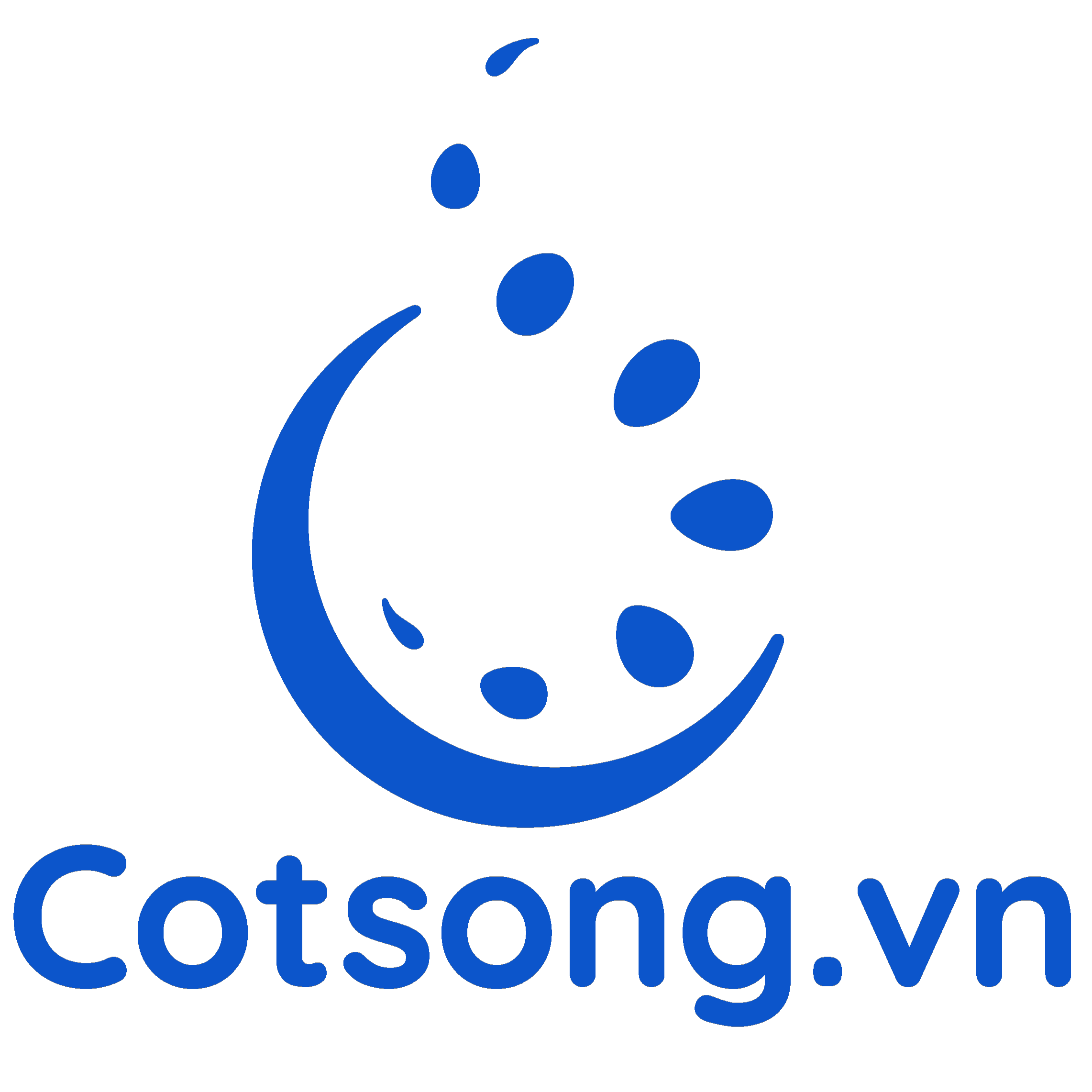 Logo Hộ Kinh Doanh Cột Sống Việt Nam
