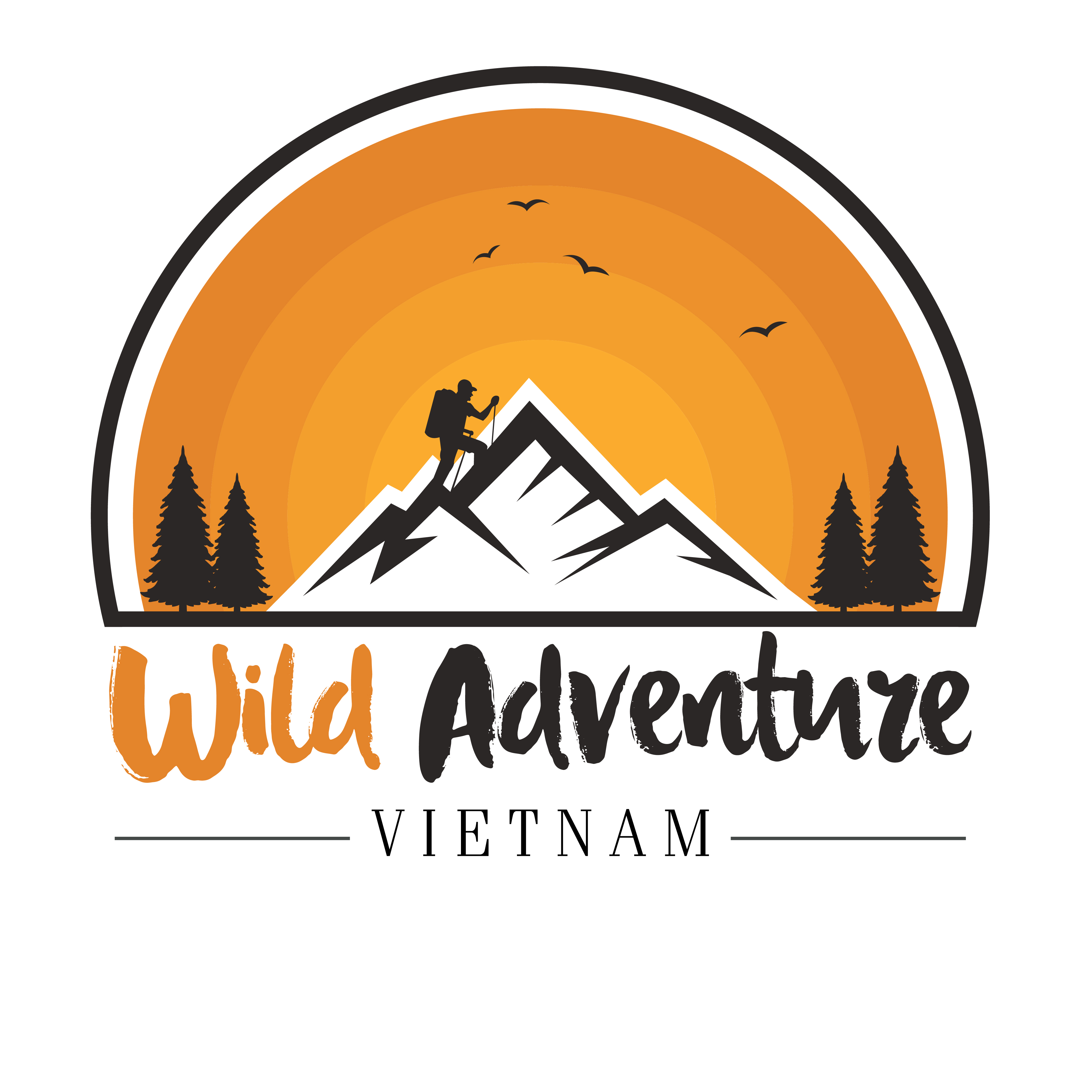 Logo CÔNG TY TNHH DU LỊCH WILD ADVENTURE VIETNAM