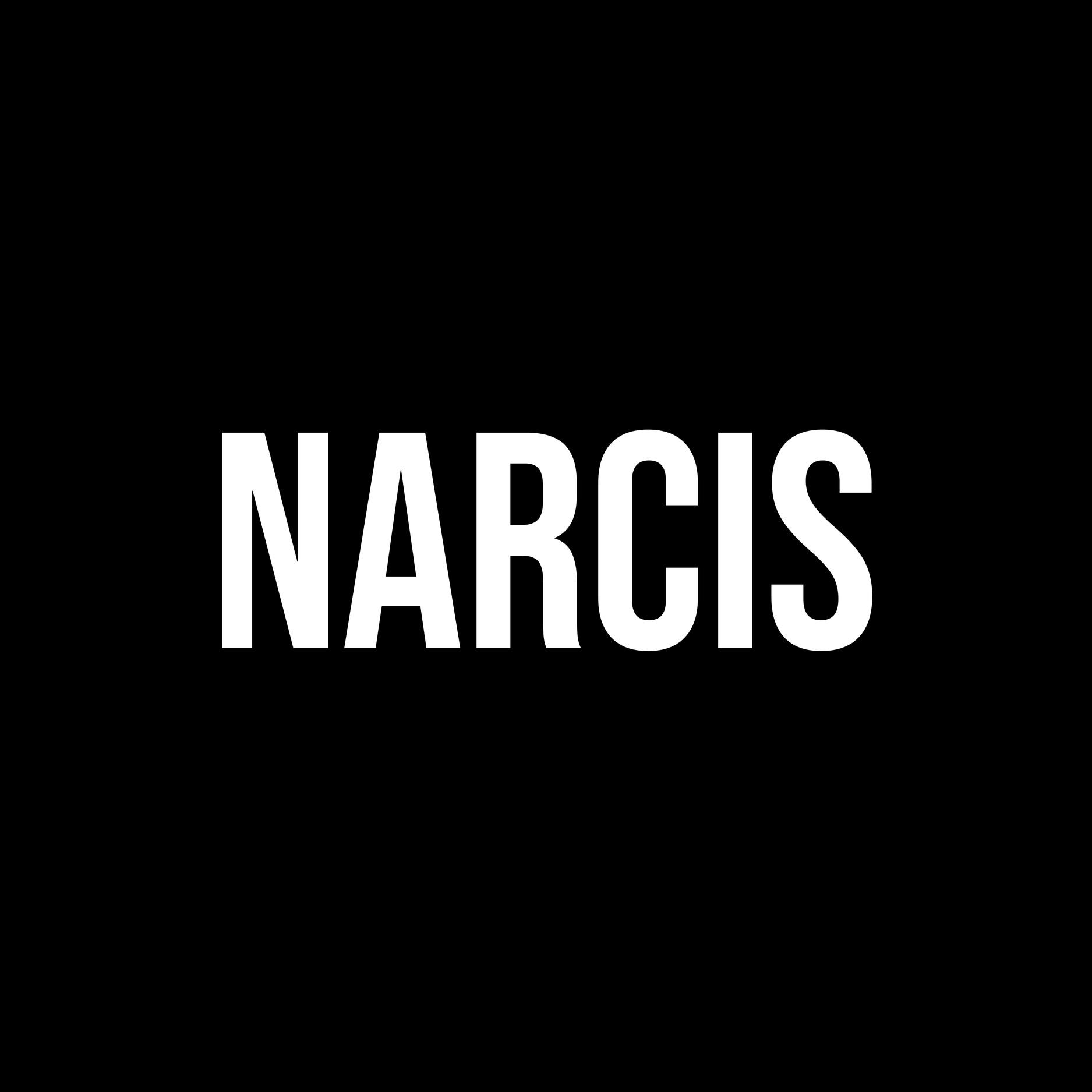 Logo CÔNG TY TNHH ATELIER NARCIS