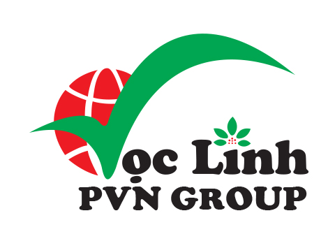 Logo CÔNG TY CỔ PHẦN PVN GROUP SÂM NGỌC LINH VIỆT NAM