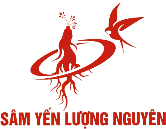 Logo HỘ KINH DOANH KHỔNG THỊ NGUYÊN
